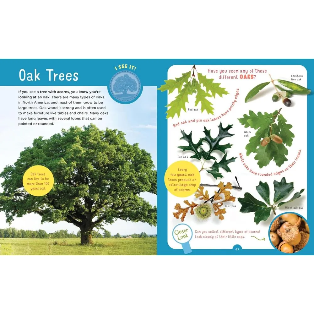 Backpack Explorer- Discovering Trees