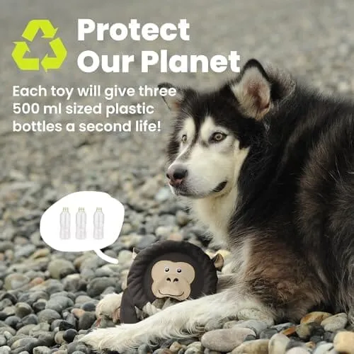 Fox Flying Disc Dog Toys Tug-of-War Toy