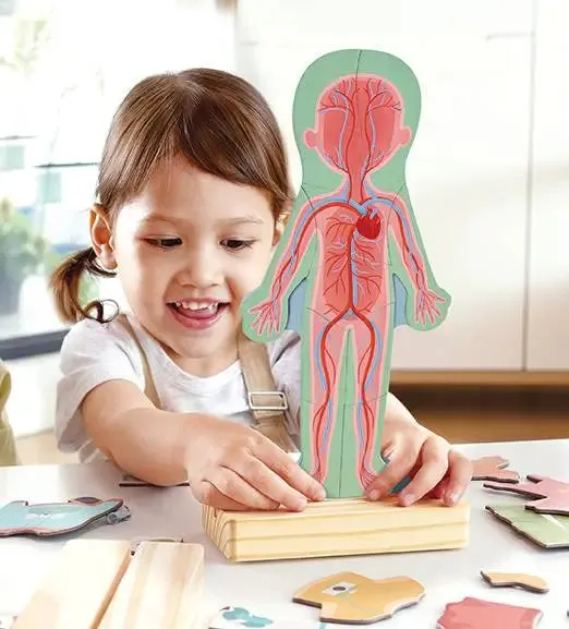 Hape Magnetic Human Body Wooden Puzzle