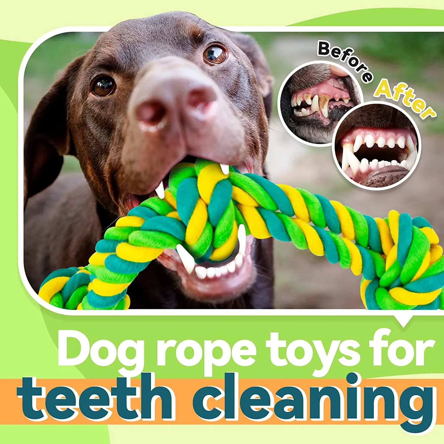 Indestructible Dog Chew Toys for Aggressive Chewers