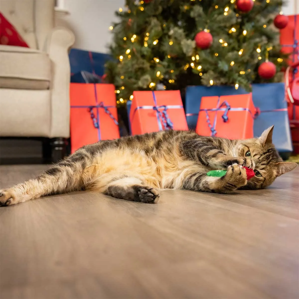 Kittybelles Good Bad Catnip Toy