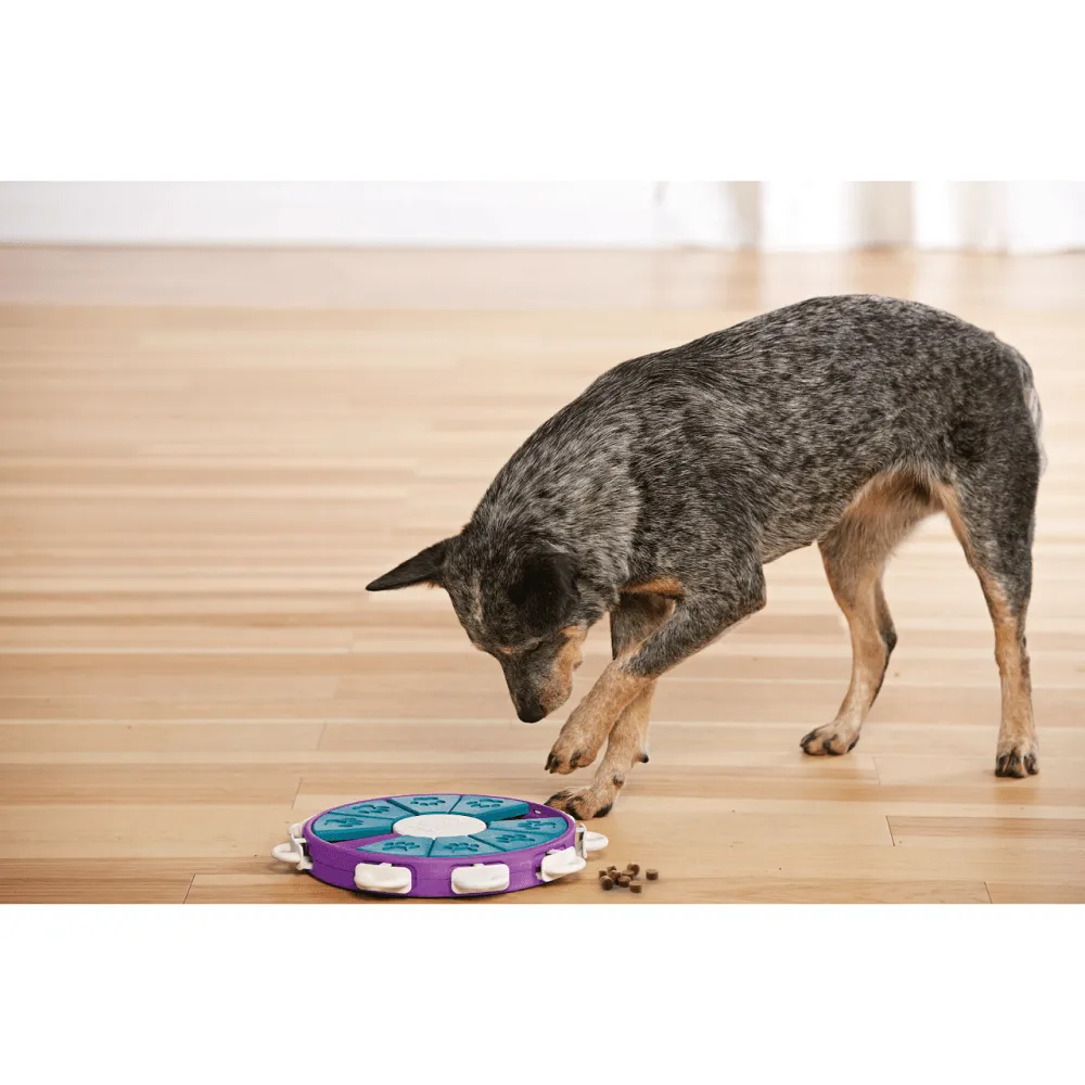 Outward Hound Nina Ottosson Dog Twister Puzzle for Dogs (Level 3 Advanced)