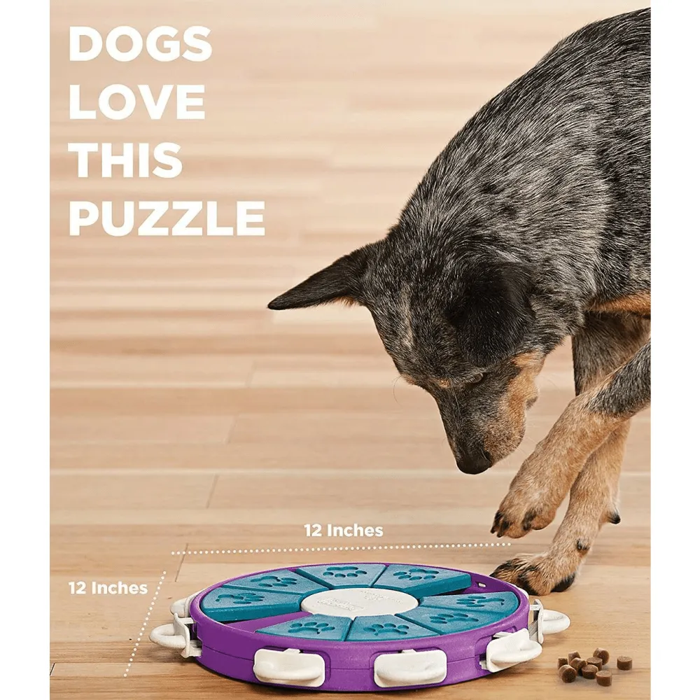 Outward Hound Nina Ottosson Dog Twister Puzzle for Dogs (Level 3 Advanced)