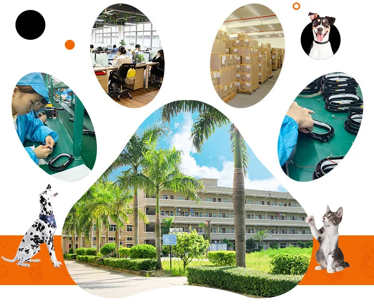 PAWS ASIA Suppliers Interactive Durable Chewing Dog Toys Ball Solid Core Tennis