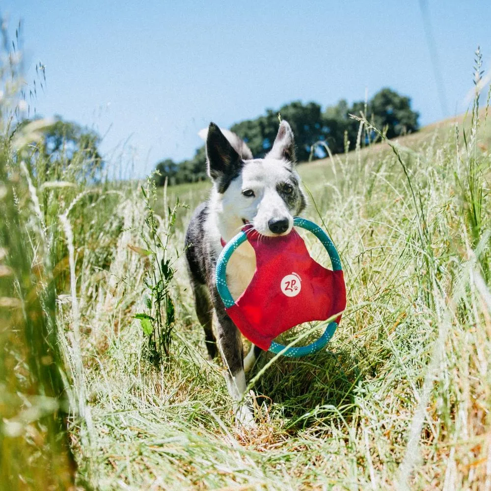 Rope Glider Dog Toy - Pink